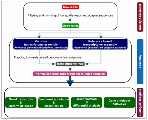 Transcriptome Analysis Applications RNA Seq Data Analysis Next