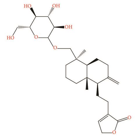 Effect Of Andrographolide On Morphologic Changes And Viability Of