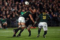 Rugby Championship All Blacks V Springboks September Dave