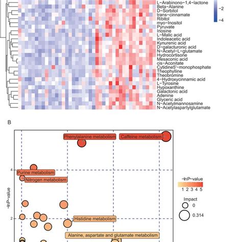 Summary Of Pathway Analyses Based On Metabolomics Data A Heatmap Download Scientific Diagram