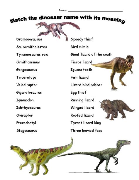 Dinosaur Name Matching By Allykats Alcove Teachers Pay Teachers