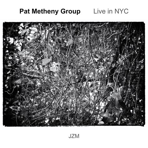 Musica degradata: Pat Metheny Group - Live in NYC (1978)