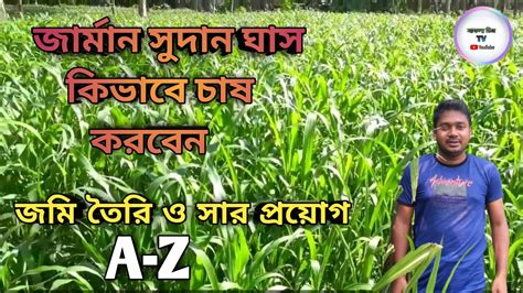 বীজ থেকে সহজেই ঘাস চাষ পদ্ধতি ৩০ দিনে ঘাস কাটুন জমি তৈরি ও সার