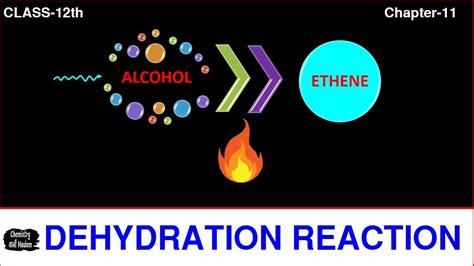 Acidic Dehydration Of Alcohol Class 12 Mechanism Of Dehydration