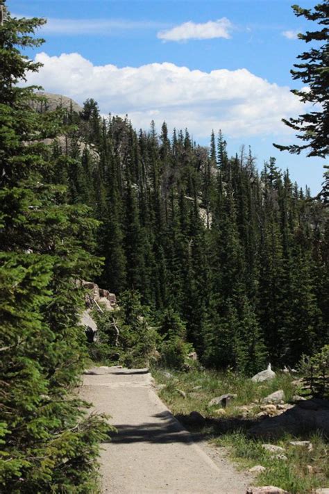 Free Images Landscape Tree Nature Wilderness Sky Hiking Trail