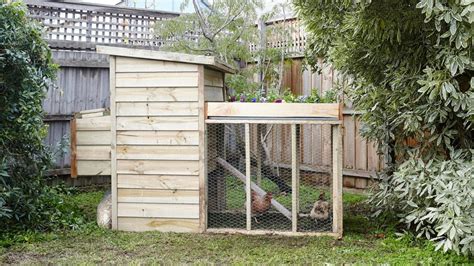 How To Build A Diy Chicken Coop Bunnings Australia