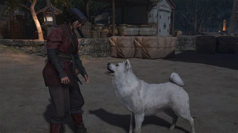 Assassin’s Creed Shadows guide: 16 tips to help you survive Sengoku-era