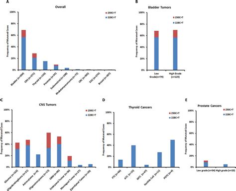 Frequency Of Tert Promoter Mutations In Different Cancers A Bar Download Scientific Diagram