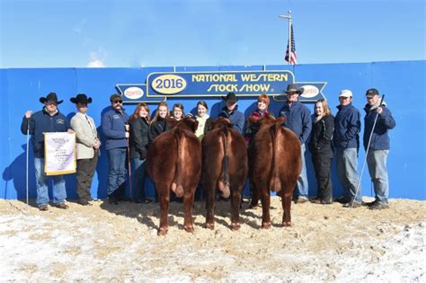 2016 Stock Shows Silver Spur Ranches