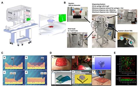 Frontiers D Bioprinting Of Vascularized Tissues For In Vitro And In