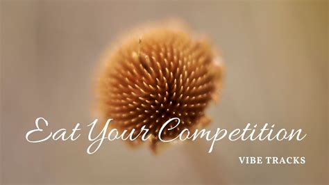 Free Copyright Music Beat Your Competition Vibe Tracks Songs 2020