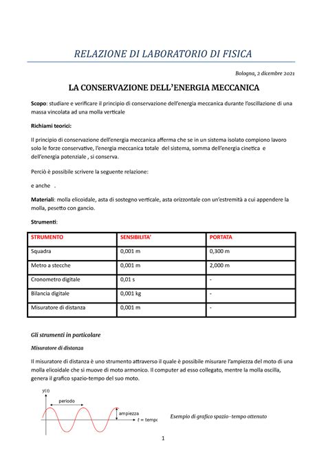 Relazione Di Laboratorio Di Fisica Energia Meccanica Matematica