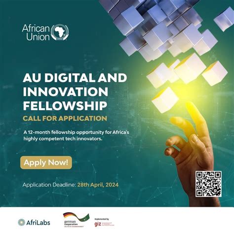 African Union AU Digital And Innovation Fellowship Program Cohort 2