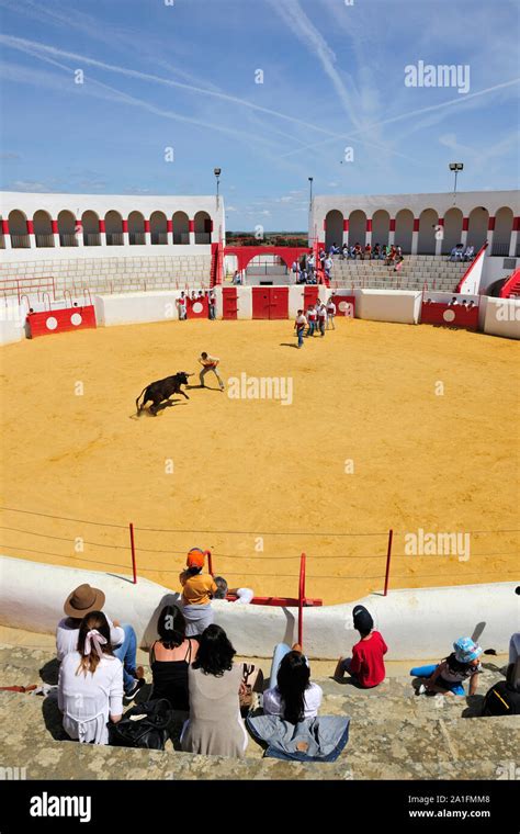 Bullfight Training Hi Res Stock Photography And Images Alamy