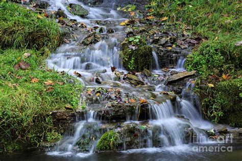 Leaves in the Waterfall Photograph by Terri Morris - Fine Art America