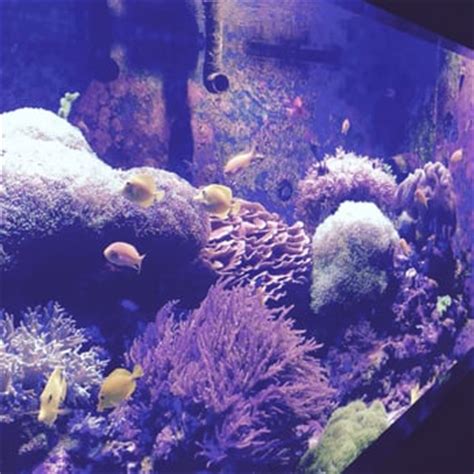 Aquarium of Niagara - 113 Photos & 42 Reviews - Aquariums - 701 ...