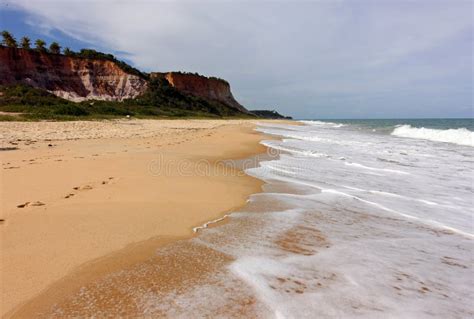 Taipe Beach - a Brazilian Tropical Beach Stock Photo - Image of destination, atlantic: 29821692