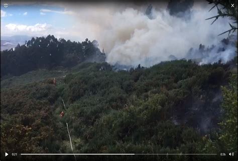 Video Se Presentó Nuevo Incendio En Los Cerros Orientales De Bogotá