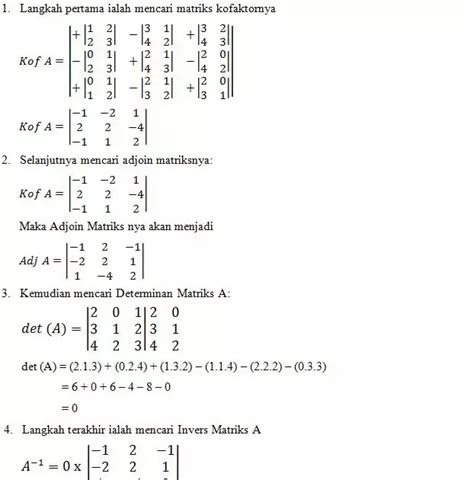 Contoh Soal Adjoin Matrik Dan Penjelasannya Riset