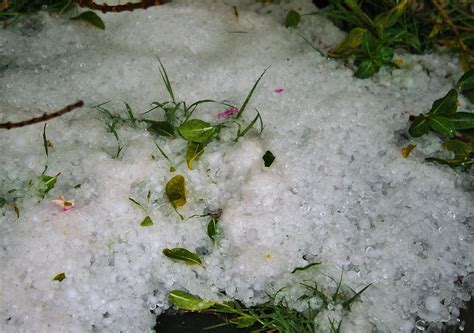 mass  hail  stock photo public domain pictures