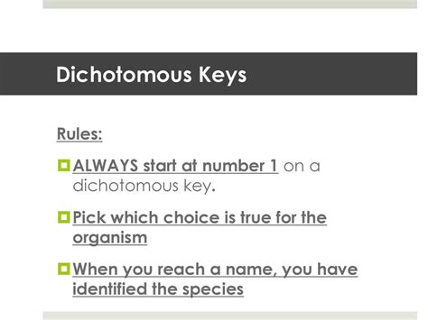 Hw Dichotomous Key If Incomplete Ppt Download