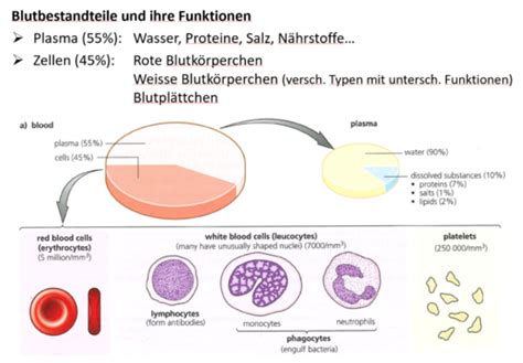 Biologie Infektion Und Abwehr Karteikarten Quizlet