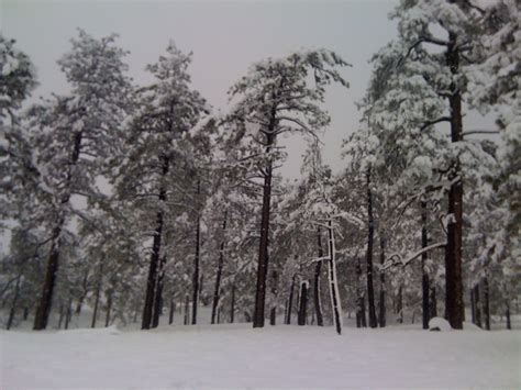 MDK10 Outside: Snow at Mt. Laguna