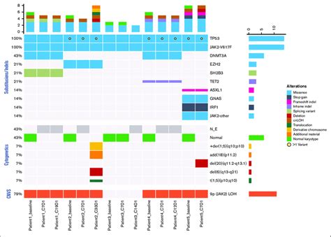 Genomic Profile Of Somatic Mutations Copy Number Variants CNVs And