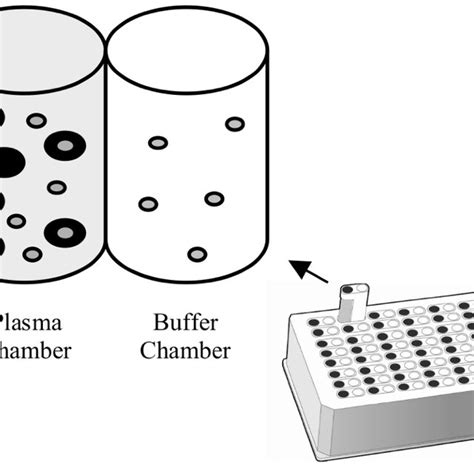 Pdf Plasma Protein Binding In Drug Discovery And Development