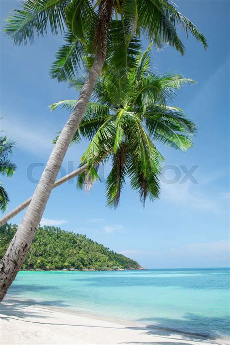 Tropic Island Stock Image Colourbox