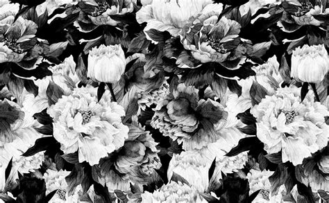 Black And White Leaf Wallpapers Top Free Black And White Leaf Backgrounds Wallpaperaccess