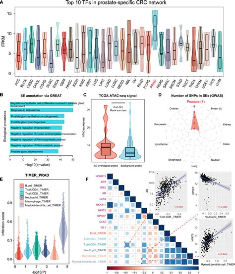 Landscape And Significance Of Human Super Enhancer Driven Core