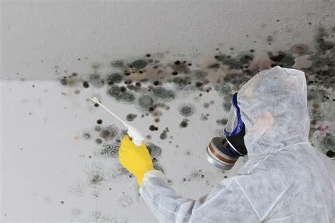 Attic Mold Removal and Prevention - Water Mold Fire Restoration