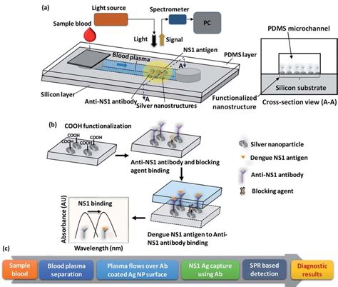 A Schematic Of Experimental Set Up For Detection Of Localised Surface