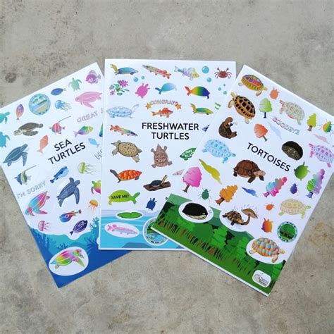 Turtle Stickers (3 pcs/set) • Turtle Conservation Society of Malaysia