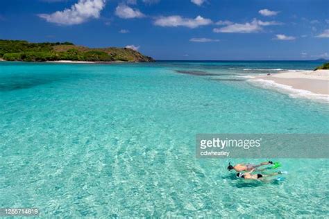 343 Snorkeling Virgin Islands Stock Photos, High-Res Pictures, and ...