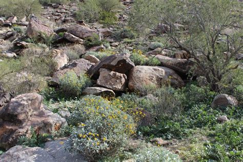 Hiking in South Mountain Park, Phoenix | ARHtistic License