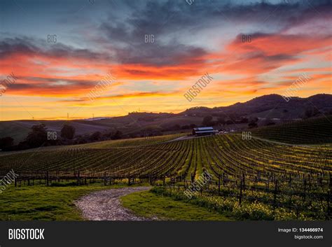 Colorful Sunset Over A Napa California Vineyard Spectrum Of Colors