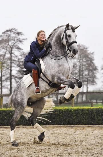 11 Different Horseback Riding Styles To Try Artofit