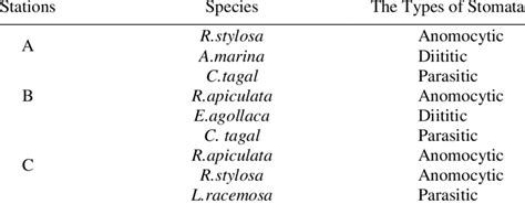 The types of stomata based on the types of the species | Download ...