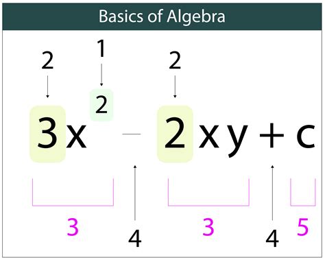 Understanding The Meaning Of X In Standard Algebraic Equations - RYZE Superfoods
