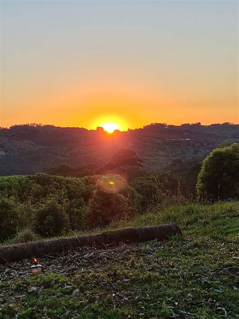 Pia Lammi/ Holistic Wellness Hub | Gold Coast QLD