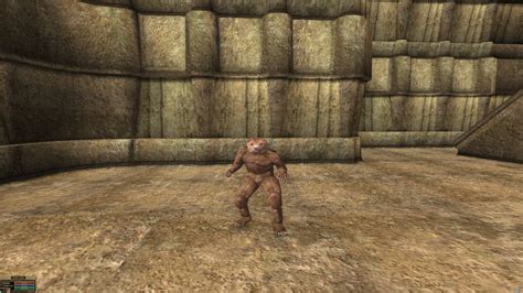 Ursumir Bearfolk Beast Race At Morrowind Nexus Mods And Community