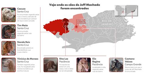 Cães de ator foram fundamentais para localizar corpo Correio de Carajás