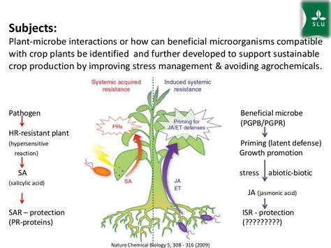 Plant Microbe Interactions Exploring Microbes To Improve Crop Produ