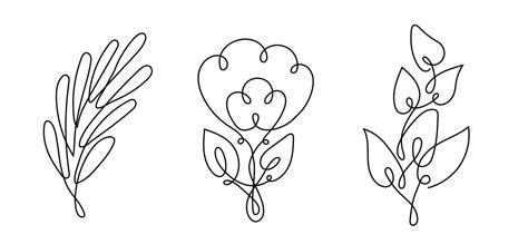 Set One Line Drawing Abstract Flowers Hand Vector Image