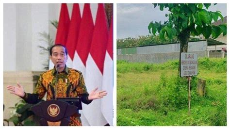 Lahan Rumah Hadiah Dari Negara Untuk Jokowi Ternyata Milik Bos Rosalia