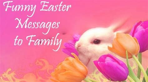 Funny Easter Messages to Family | Funny Easter Wishes