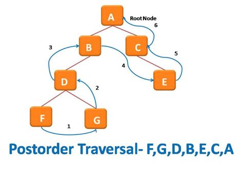 Binary Tree Traversal CSVeda