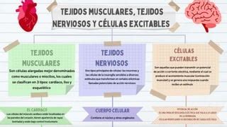 Niveles De Composici N Corporal Nivel Tisular Ppt